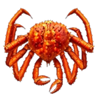 bering hunter scatter symbol
