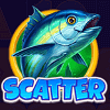 big catch bonanza scatter symbol