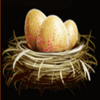 birds nest scatter symbol