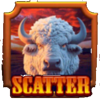 blazin buffalo extreme scatter symbol