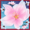 cherry blossoms scatter symbol