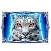 cq9 gaming snow queen scatter 3 symbol