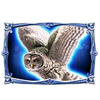 cq9 gaming snow queen scatter 6 symbol