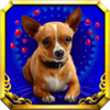 doggone lucky scatter symbol