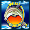 dolphin gold scatter symbol