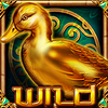 duck spell wild scatter symbol
