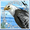 endless summer scatter symbol