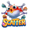 fishmongers frenzy triple catch hold and win scatter symbol