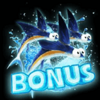 frozen fortunes scatter1 symbol