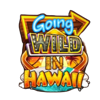going wild in hawaii scatter symbol