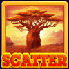grand koala hold n link scatter symbol