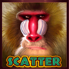 hot safari scatter symbol
