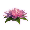 jungle spirit call of the wild powerpoints scatter symbol