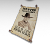 lucky western scatter 2 symbol