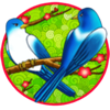 magpie bridge scatter symbol