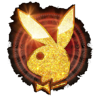 playboy fortunes hyperspins scatter symbol