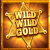 popiplay wild wild gold wild scatter symbol