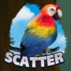 primeval rainforest scatter symbol