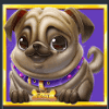 puggy payout scatter symbol