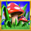 rainbow riches power mix scatter shroom symbol