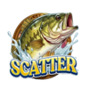 reel bass family scatter symbol