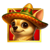 richihuahua wild symbol