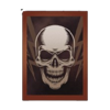 riot ultimate scatter 2 symbol