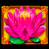 royal lotus scatter symbol
