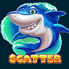 sharks bay scatter symbol