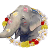 songkran party scatter symbol