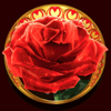 sparkling roses scatter symbol