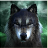 spirit of the wild scatter symbol