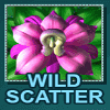 thai paradise wild scatter symbol