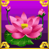 the third lotus prince scatter symbol
