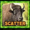 wgs forest frenzy scatter symbol