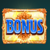 wild blooms scatter symbol