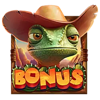 wild canyon scatter symbol
