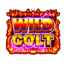 wild colt scatter symbol