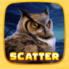wild flow scatter symbol