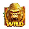 wild silverback wild scatter symbol
