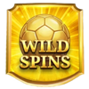 world football fortunes wild scatter symbol