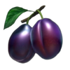 100 burning hot buy bonus purple plums symbol