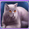 100 cats grey cat symbol