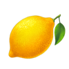 1024 sevens lemon symbol