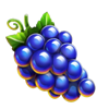 10 glossy hot grape symbol