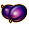 10 treasures plum symbol