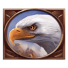 15 armadillo eagle symbol