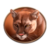 15 armadillo puma symbol
