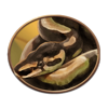 15 armadillo python symbol