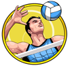 2016 gladiators yellow symbol